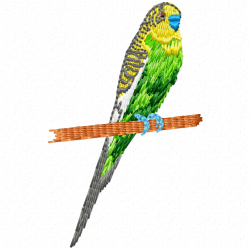 Parrots Embroidery Design 5